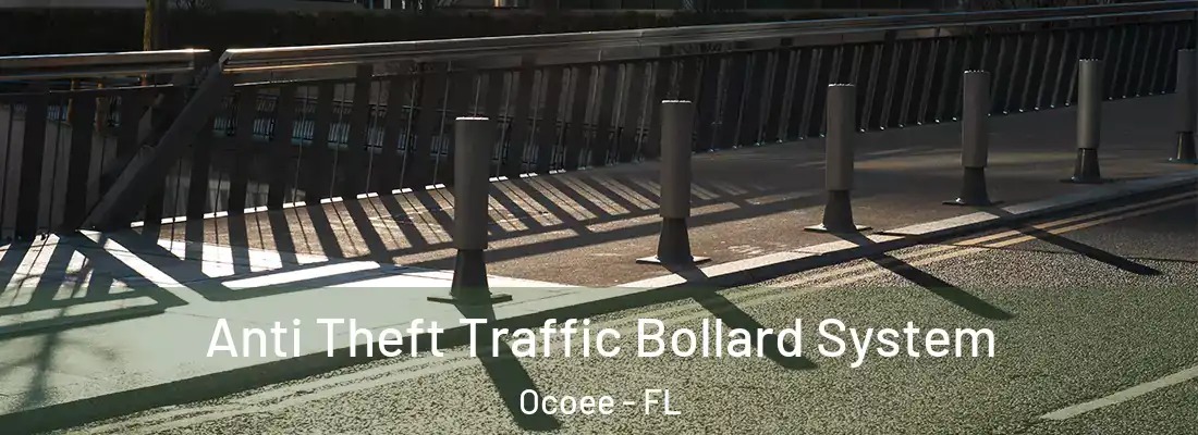  Anti Theft Traffic Bollard System Ocoee - FL