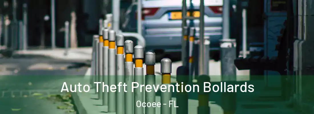 Auto Theft Prevention Bollards Ocoee - FL