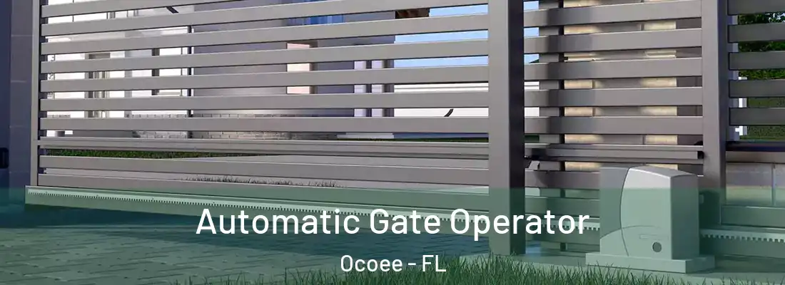  Automatic Gate Operator Ocoee - FL