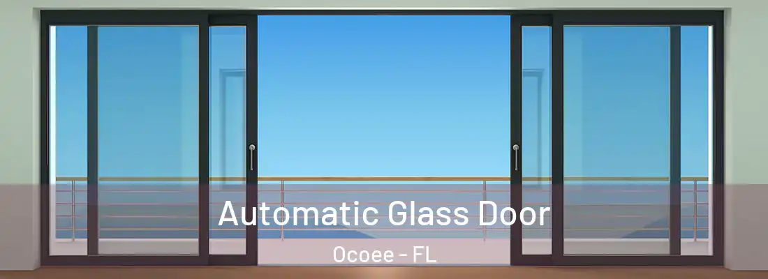 Automatic Glass Door Ocoee - FL