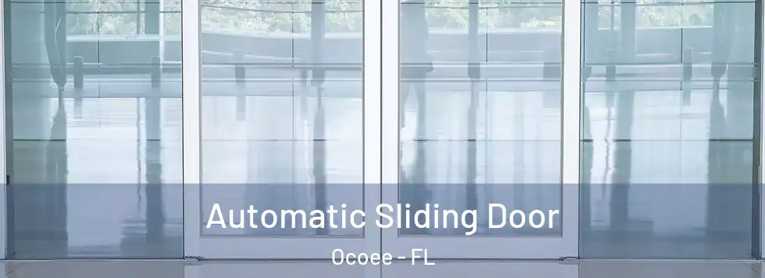Automatic Sliding Door Ocoee - FL