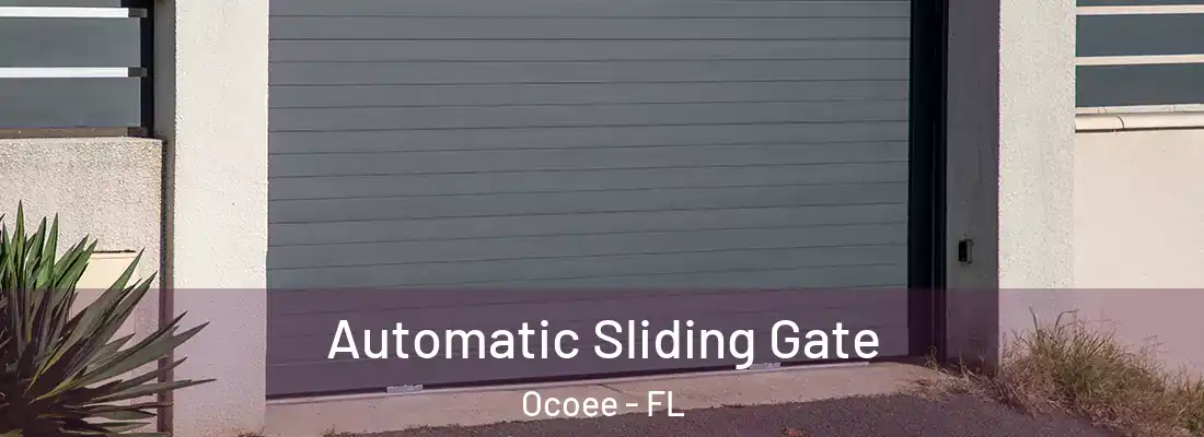  Automatic Sliding Gate Ocoee - FL