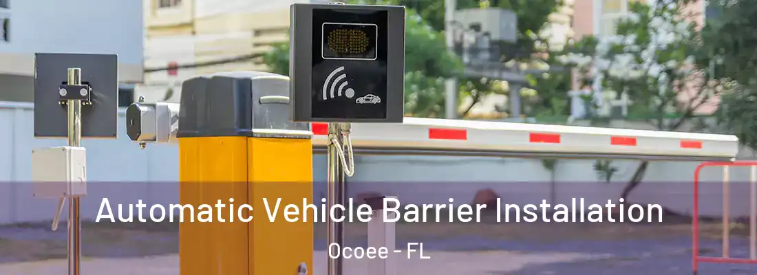 Automatic Vehicle Barrier Installation Ocoee - FL