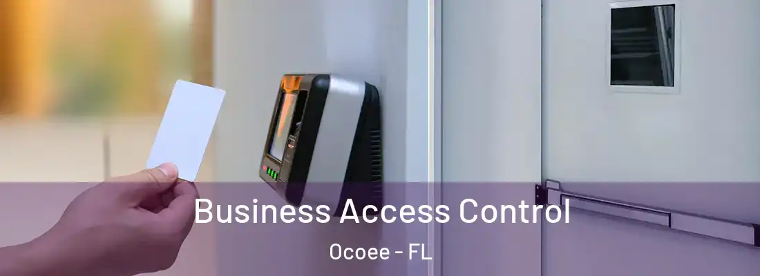 Business Access Control Ocoee - FL