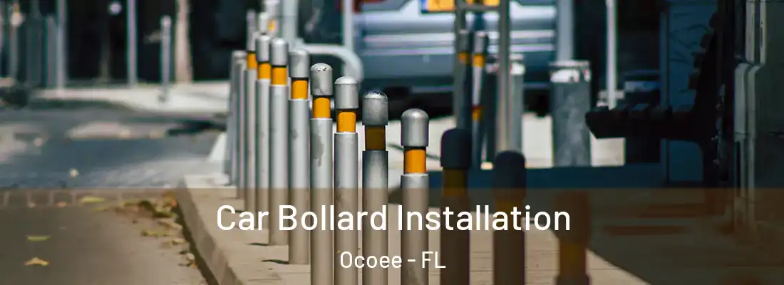  Car Bollard Installation Ocoee - FL
