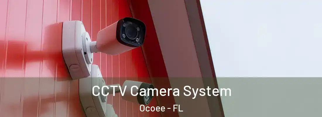 CCTV Camera System Ocoee - FL