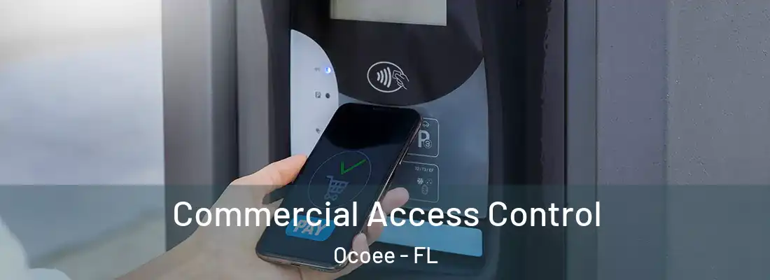 Commercial Access Control Ocoee - FL