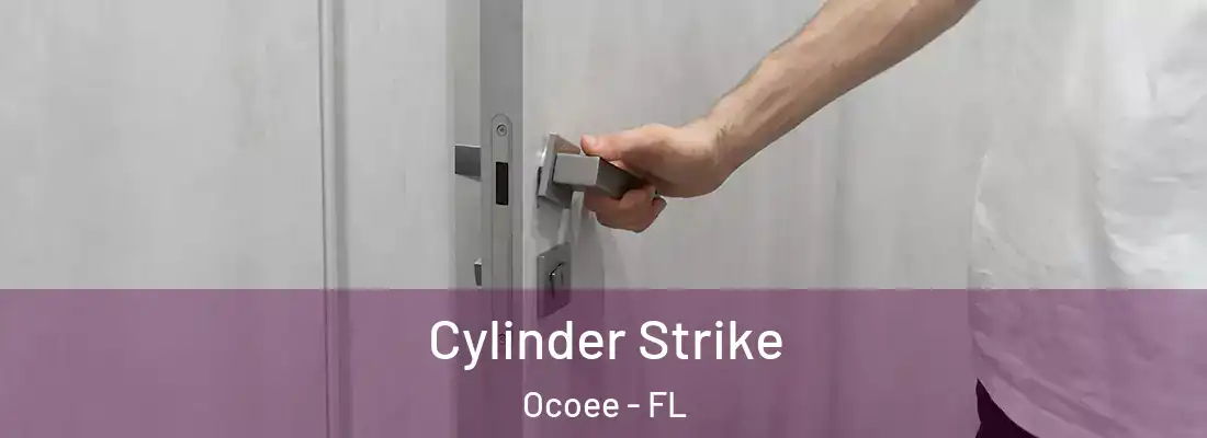 Cylinder Strike Ocoee - FL
