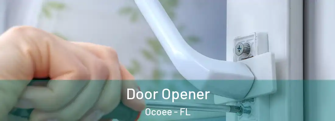 Door Opener Ocoee - FL