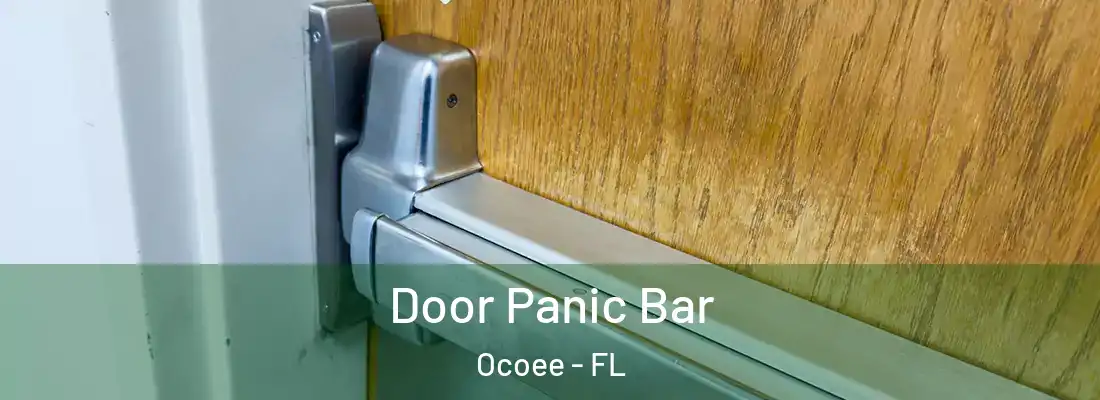Door Panic Bar Ocoee - FL