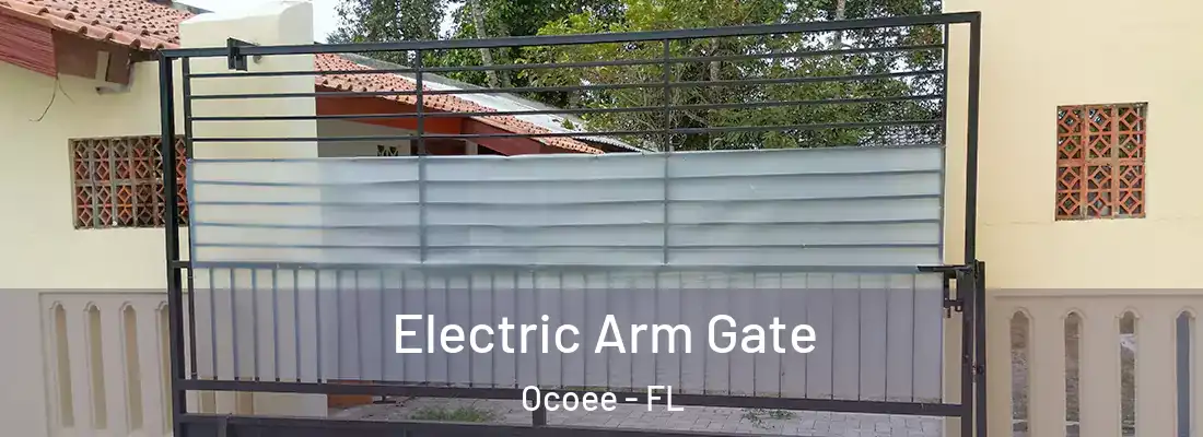 Electric Arm Gate Ocoee - FL
