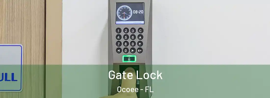 Gate Lock Ocoee - FL