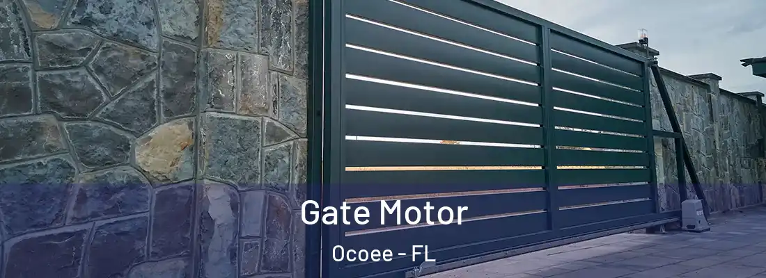 Gate Motor Ocoee - FL