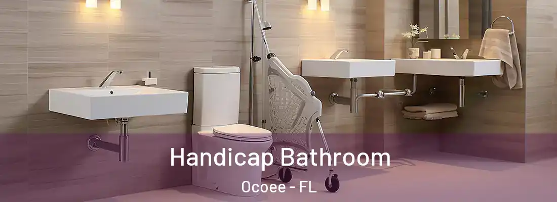  Handicap Bathroom Ocoee - FL