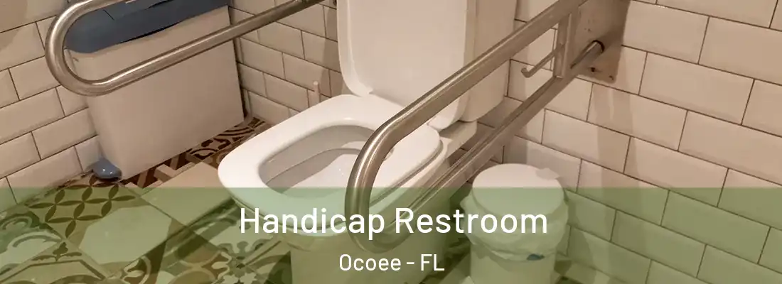 Handicap Restroom Ocoee - FL