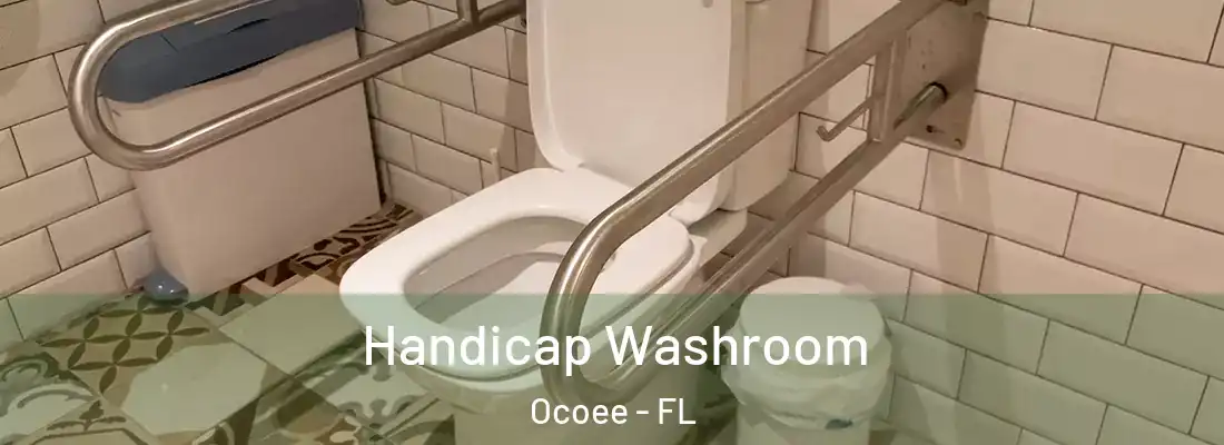  Handicap Washroom Ocoee - FL