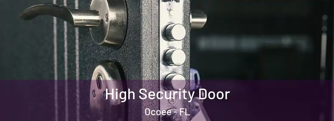 High Security Door Ocoee - FL