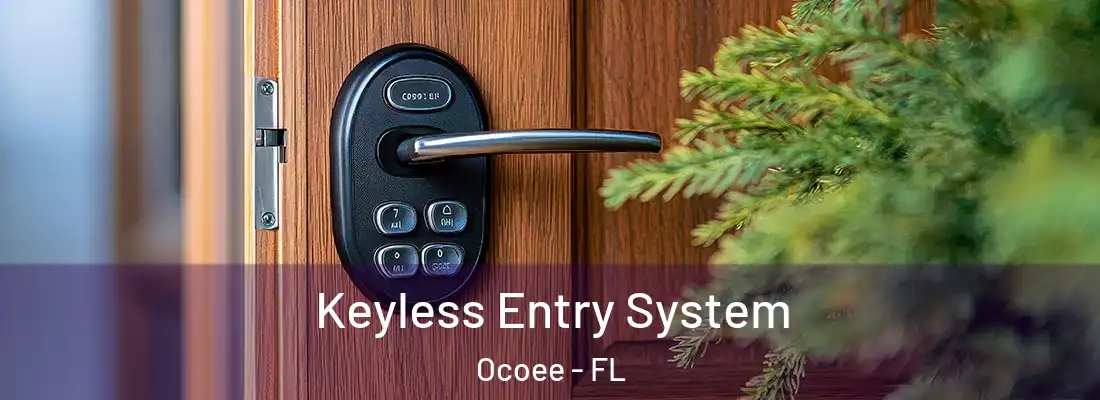 Keyless Entry System Ocoee - FL