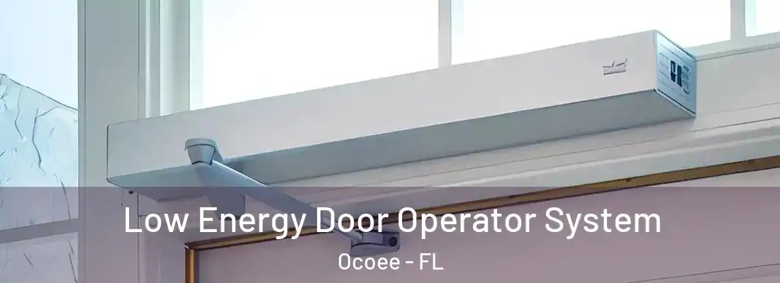 Low Energy Door Operator System Ocoee - FL