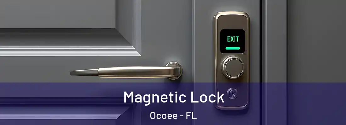 Magnetic Lock Ocoee - FL