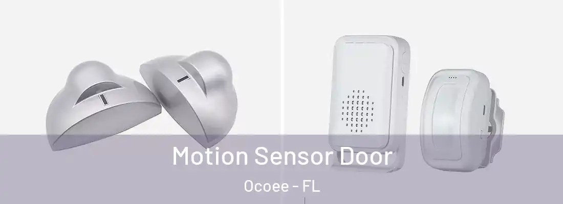Motion Sensor Door Ocoee - FL