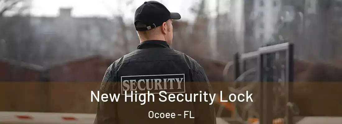 New High Security Lock Ocoee - FL