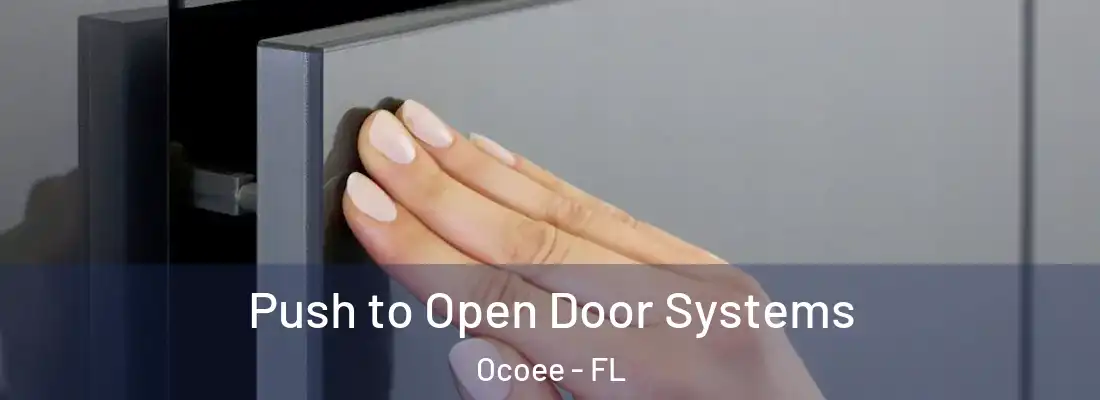 Push to Open Door Systems Ocoee - FL