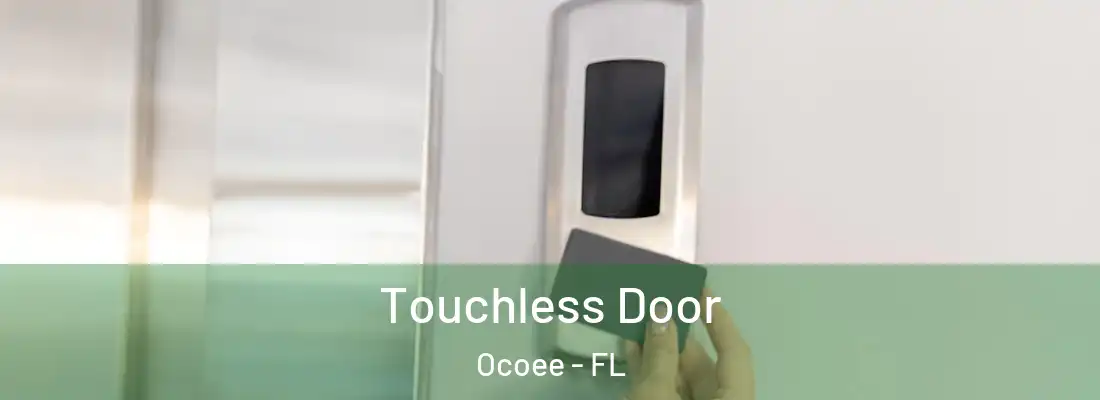 Touchless Door Ocoee - FL