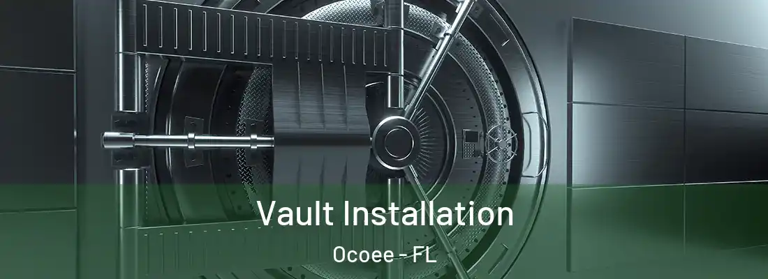 Vault Installation Ocoee - FL